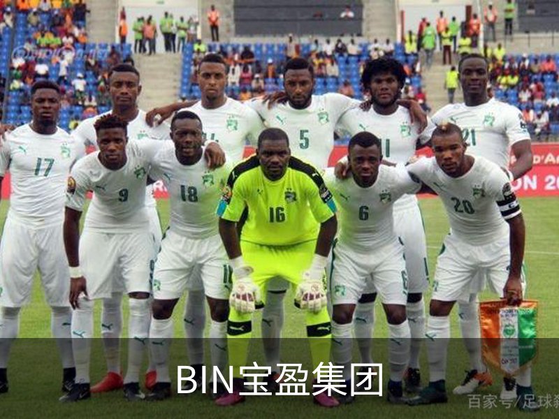 关于BIN宝盈集团